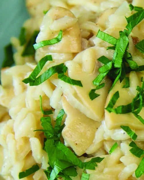 Creamy Mushroom Risotto, photographed for the Creamy Cheesy Cookbook