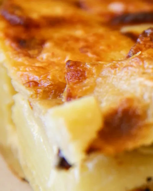 Creamy Potato Gratin, photographed for the Creamy Cheesy Cookbook