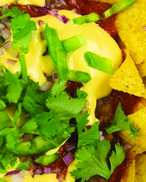 Loaded Refried Bean Nachos, photographed for The Creamy & Cheesy Cookbook