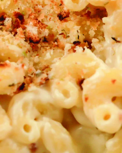 Vegan Mac & Cheese, photographed for The Creamy & Cheesy Cookbook