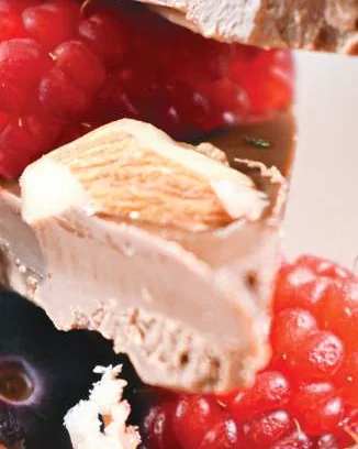 Vegan Chocolate & Red Fruits Mini Bars, photographed for the Gloriously Vegan Book of Desserts