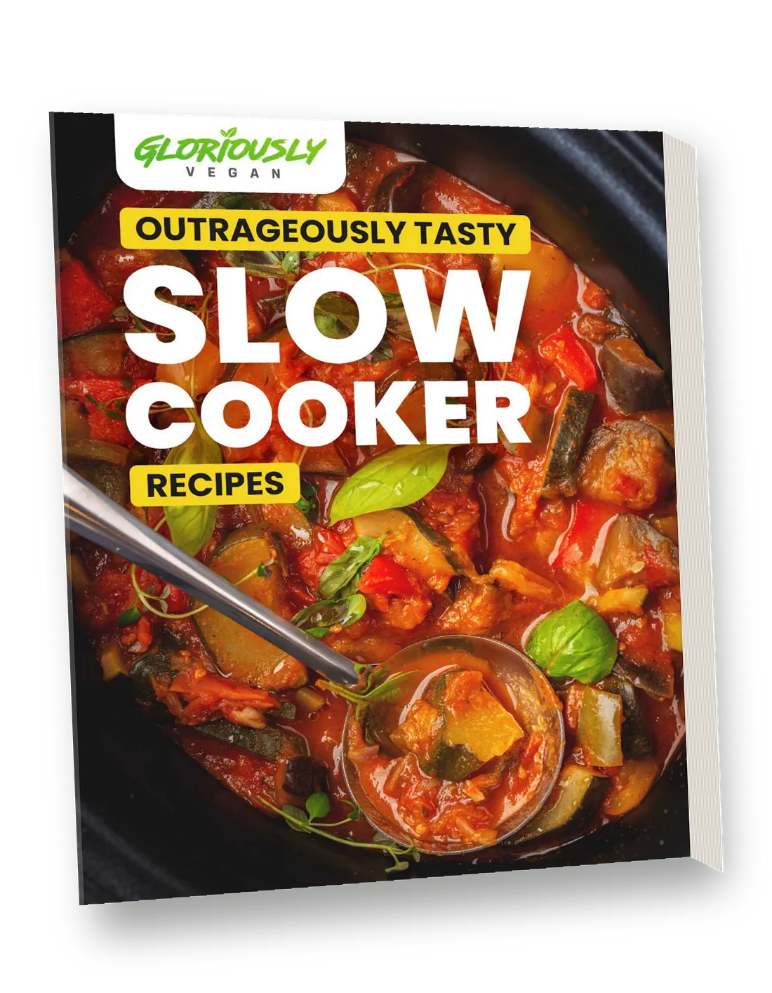 Outrageously Tasty Slow Cooker Recipes by Gloriously Vegan, front cover