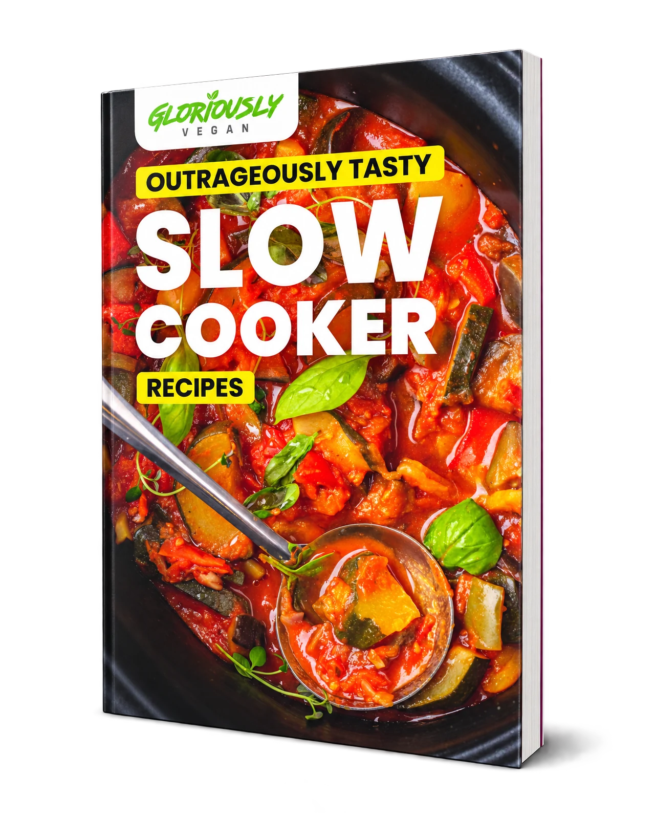 Outrageously Tasty Slow Cooker Recipes by Gloriously Vegan, front cover